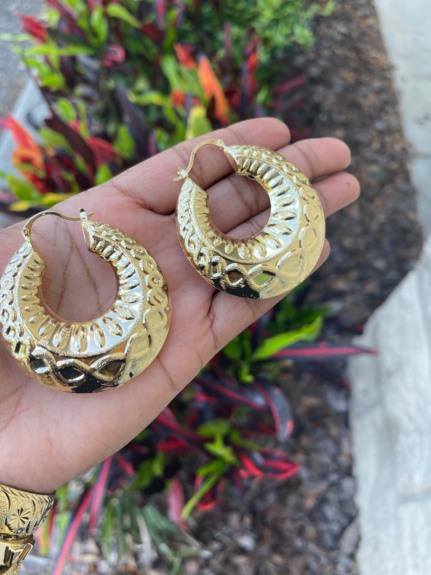 Earrings ….P